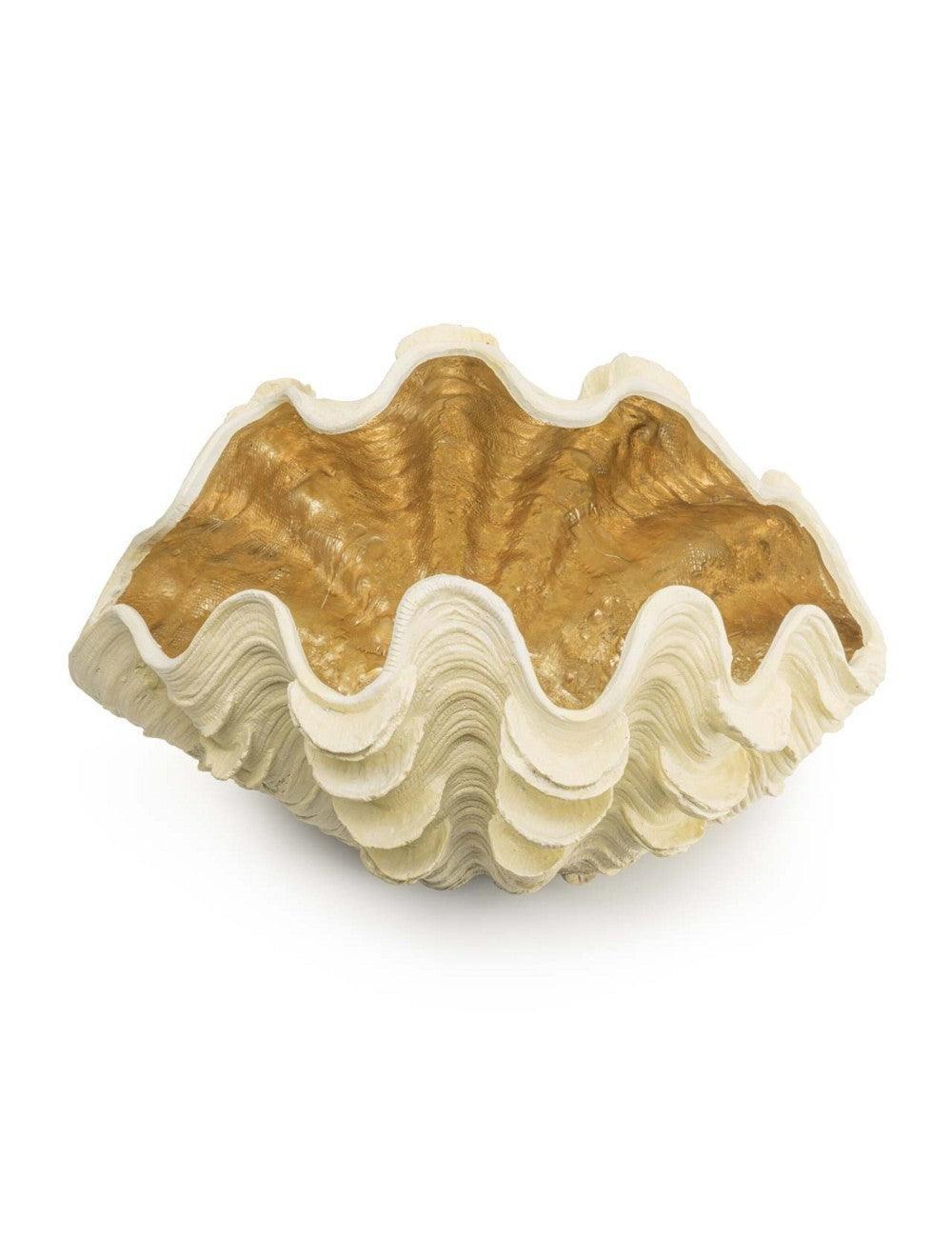 Abhika Vase Shell | 49x30 cm