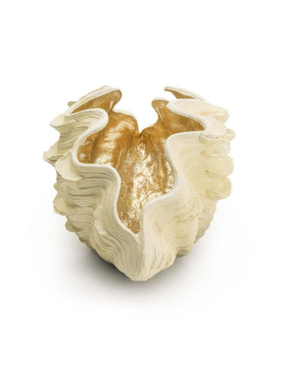 Abhika Vase Shell | 49x30 cm