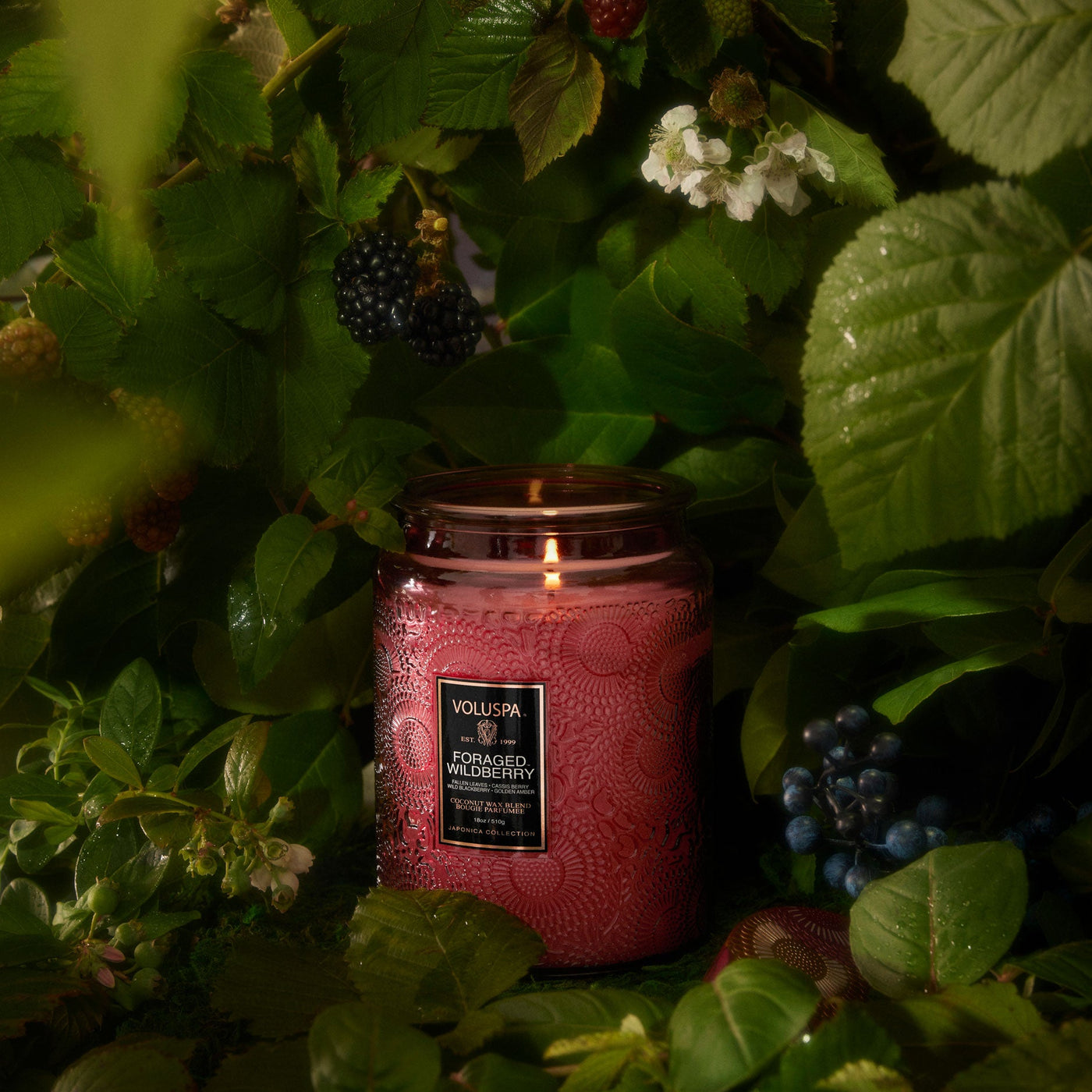 Voluspa 2-Docht Duftkerze Foraged Wildberry Luxe Jar | 1,25 kg