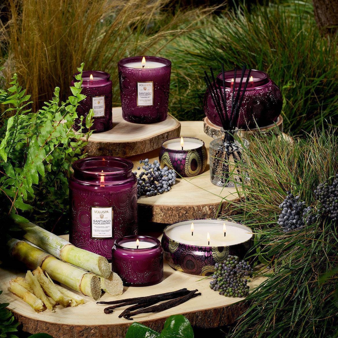 Voluspa 2-Docht Duftkerze Santiago Huckleberry | Japonica Collection | Chawan Bowl