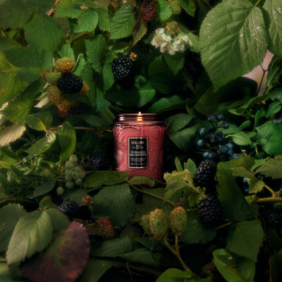 Voluspa Duftkerze Foraged Wildberry | Small Jar