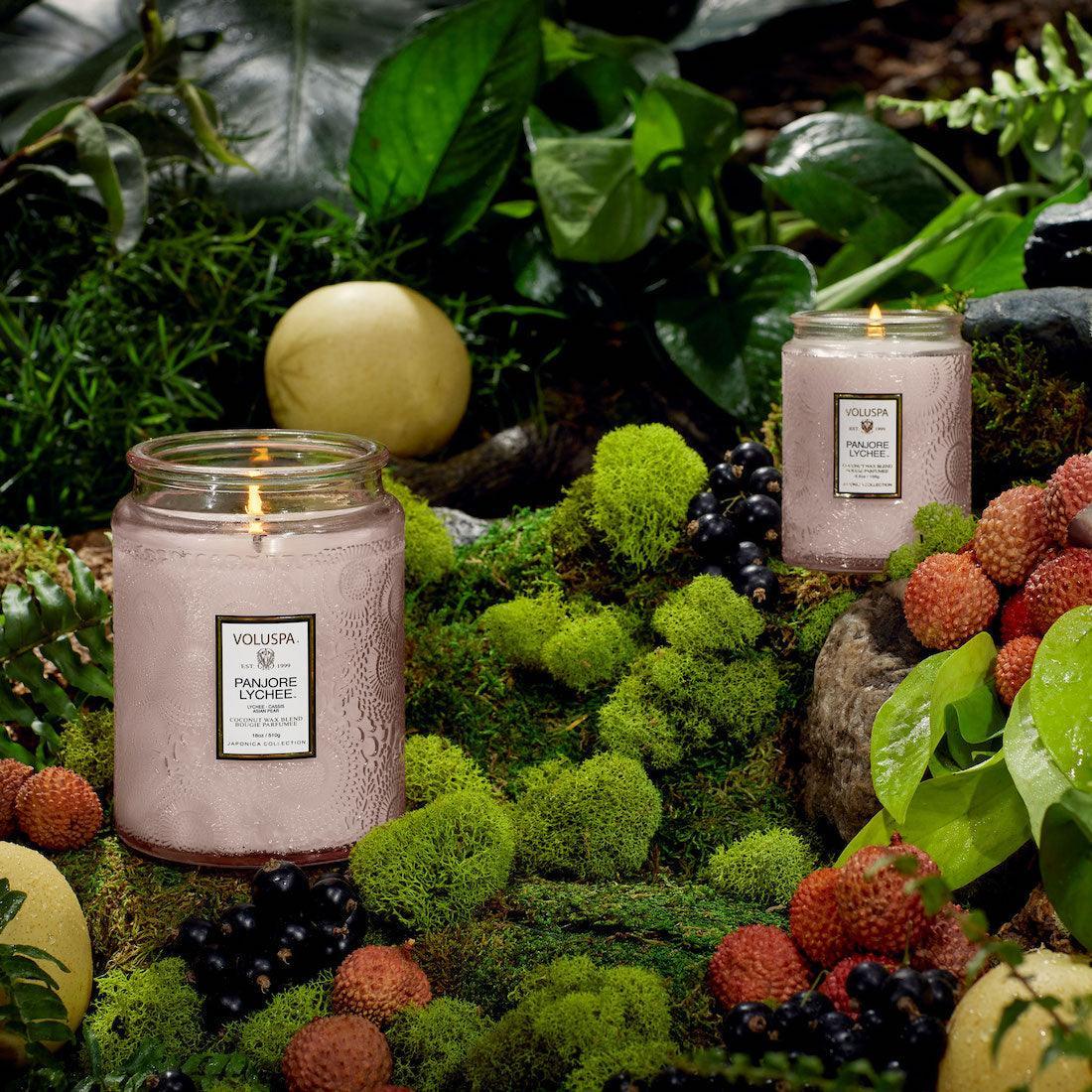 Voluspa - Duftkerze Panjore Lychee | Japonica Collection | Small Jar - Codeso Living